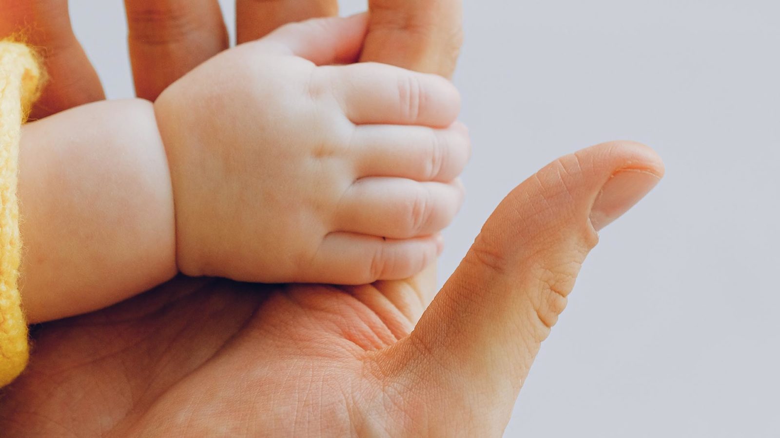 Parent holding small child's hand