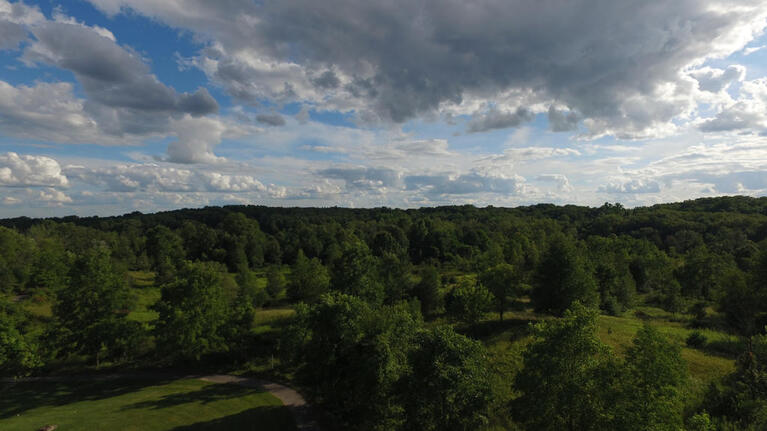 A vast green forest landscape under a partly cloudy sky with scattered sunlight.